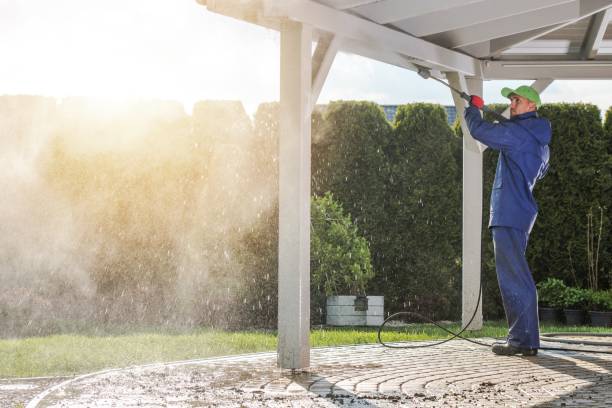 Best Soft Washing  in Elkader, IA