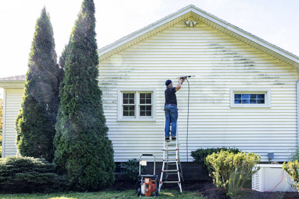 Best Residential House Exterior Washing  in Elkader, IA